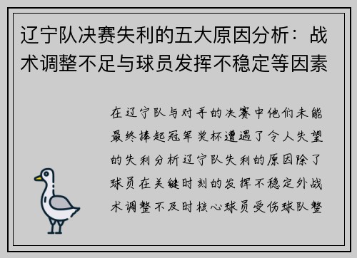 辽宁队决赛失利的五大原因分析：战术调整不足与球员发挥不稳定等因素探讨
